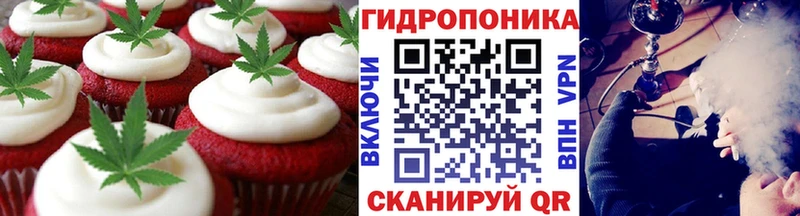 Cannafood конопля  Купить закладки  Калач 