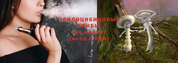 трава Гусь-Хрустальный