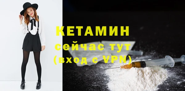 трава Гусь-Хрустальный