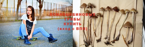 трава Гусь-Хрустальный