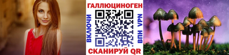 Псилоцибиновые грибы Cubensis  Купить где  Калач 